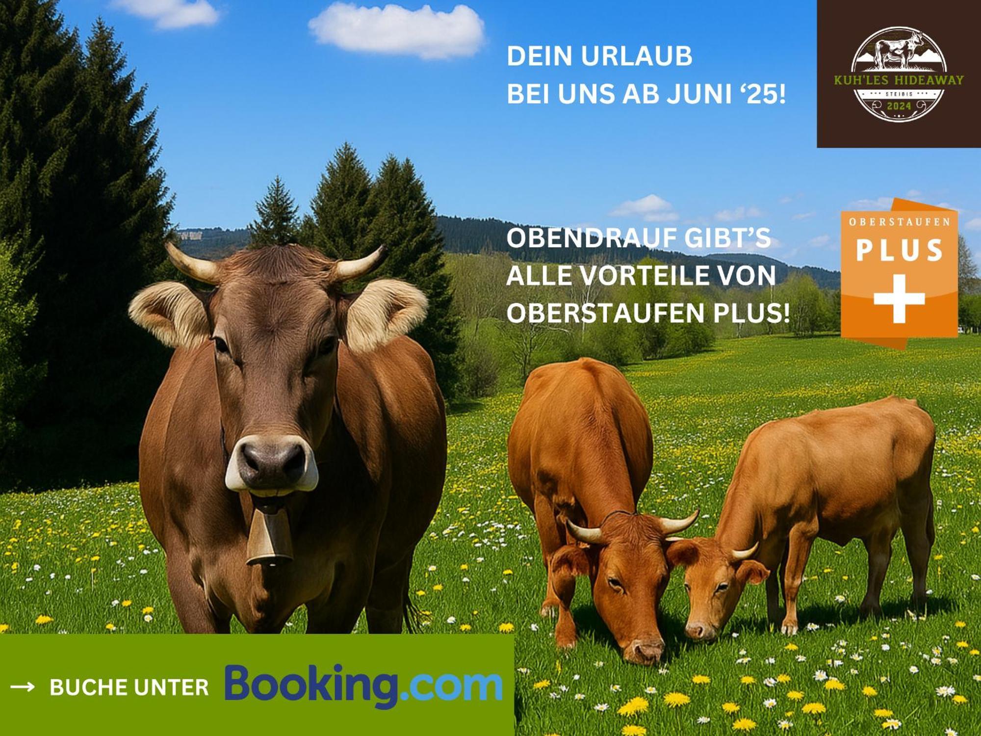 Kuh'Les Hideaway Steibis 3-Zimmer Ferienwohnung 55 M² Oberstaufen Exterior foto